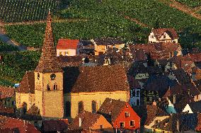 Illustration - Vin Alsace