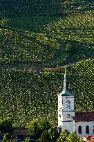 Illustration - Vin Alsace