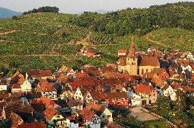 Illustration - Vin Alsace