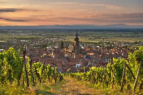 Illustration - Vin Alsace