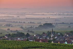 Illustration - Vin Alsace