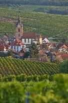 Illustration - Vin Alsace