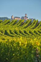 Illustration - Vin Alsace