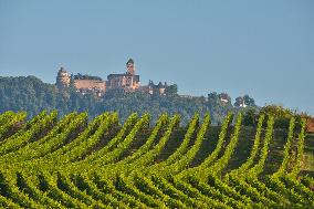 Illustration - Vin Alsace