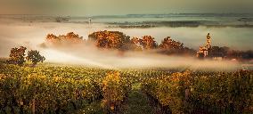 Illustration - Vin Gironde