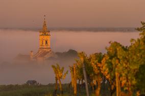Illustration - Vin Gironde