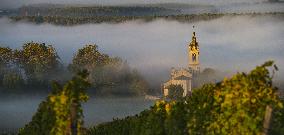 Illustration - Vin Gironde