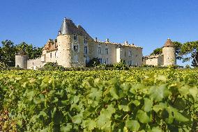 Illustration - Vin Gironde