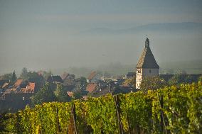 Illustration - Vin Alsace