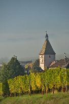 Illustration - Vin Alsace