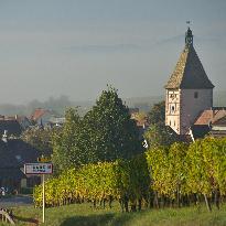 Illustration - Vin Alsace