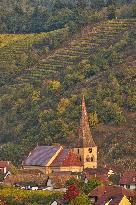 Illustration - Vin Alsace