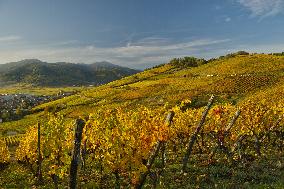 Illustration - Vin Alsace