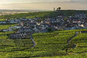 Illustration - Vin Alsace