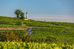 Illustration - Vin Alsace