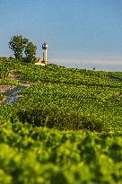 Illustration - Vin Alsace