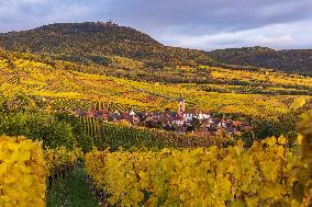 Illustration - Vin Alsace