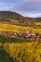 Illustration - Vin Alsace