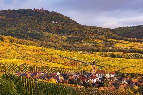 Illustration - Vin Alsace