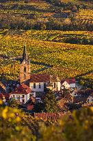 Illustration - Vin Alsace