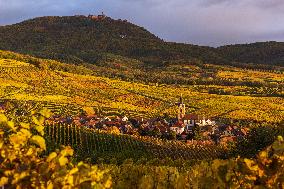 Illustration - Vin Alsace