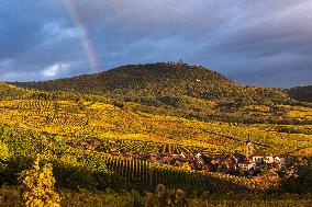 Illustration - Vin Alsace