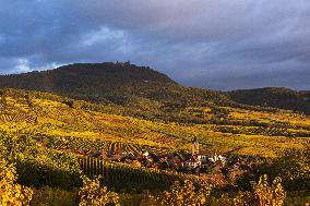 Illustration - Vin Alsace