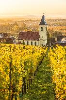 Illustration - Vin Alsace