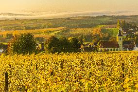Illustration - Vin Alsace