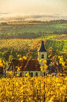 Illustration - Vin Alsace