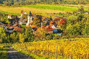 Illustration - Vin Alsace