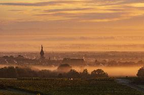 Illustration - Vin Alsace