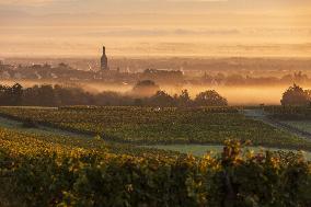 Illustration - Vin Alsace