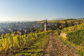 Illustration - Vin Alsace