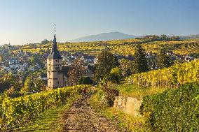 Illustration - Vin Alsace