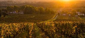 Illustration - Vin Gironde
