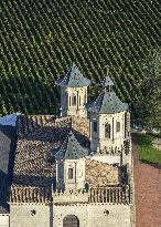 Illustration - Vin Gironde