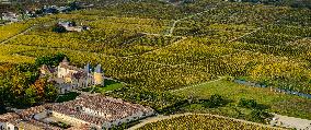 Illustration - Vin Gironde
