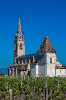 Illustration - Vin Gironde
