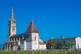 Illustration - Vin Gironde