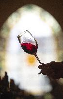 Illustration - Vin Gironde