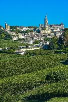 Illustration - Vin Gironde