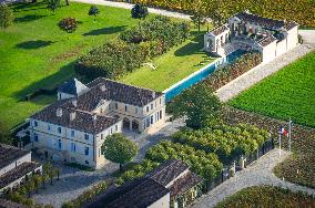 Illustration - Vin Gironde