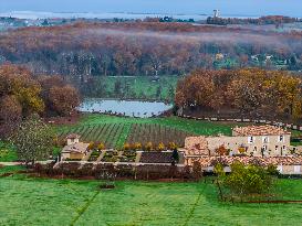Illustration - Vin Gironde