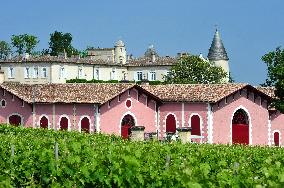 Illustration - Vin Medoc