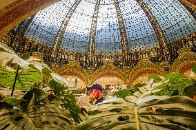 Illustration - Paris