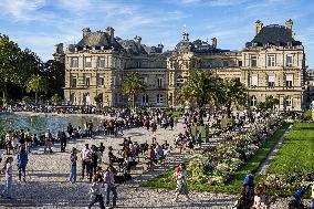 Illustration - Paris