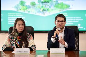 Amazon Rainforest Deforestation goes Down a 33% during the First Trimester of 2025