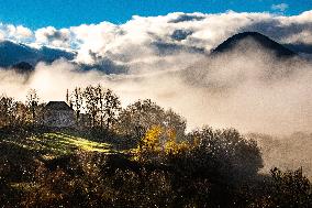Illustration - The Alps in Summer