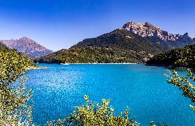 Illustration - The Alps in Summer
